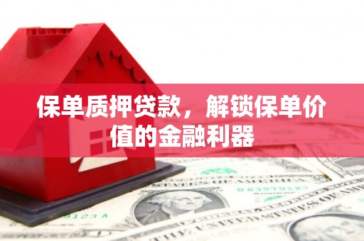 阜城保单质押贷款，解锁保单价值的金融利器