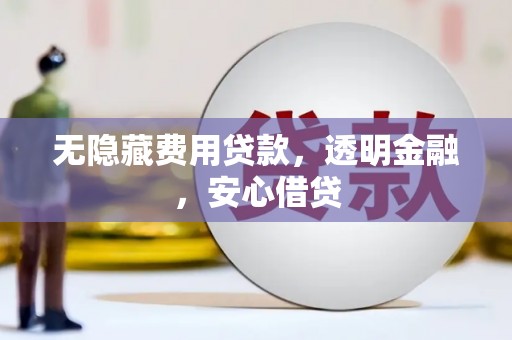 阜城无隐藏费用贷款，透明金融，安心借贷