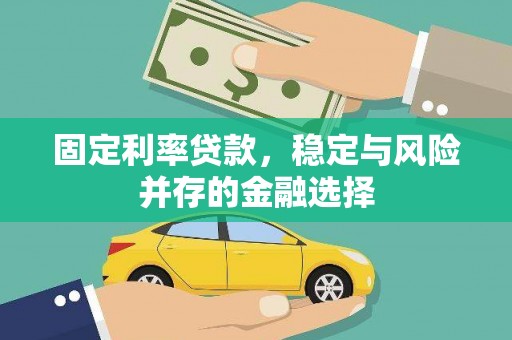 阜城固定利率贷款，稳定与风险并存的金融选择