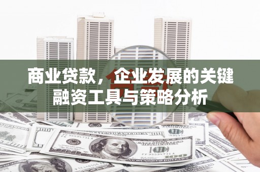阜城商业贷款，企业发展的关键融资工具与策略分析