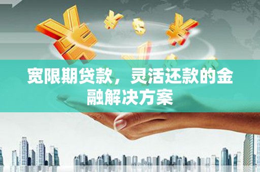 阜城宽限期贷款，灵活还款的金融解决方案
