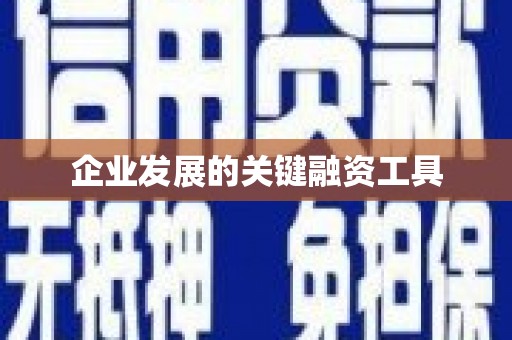 阜城企业发展的关键融资工具