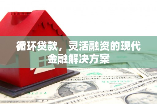 阜城循环贷款，灵活融资的现代金融解决方案