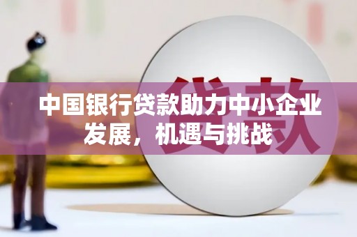 阜城中国银行贷款助力中小企业发展，机遇与挑战