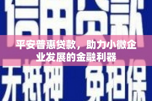 阜城平安普惠贷款，助力小微企业发展的金融利器