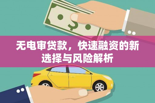 阜城无电审贷款，快速融资的新选择与风险解析