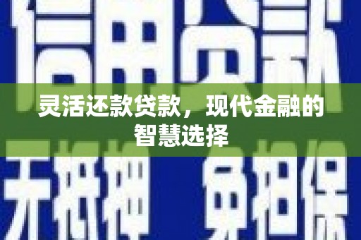 阜城灵活还款贷款，现代金融的智慧选择