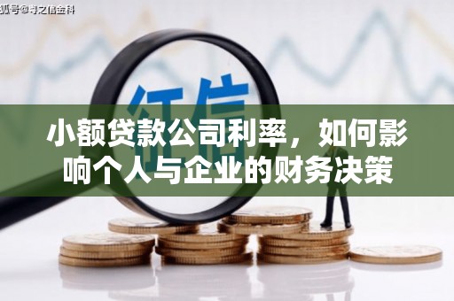 阜城小额贷款公司利率，如何影响个人与企业的财务决策