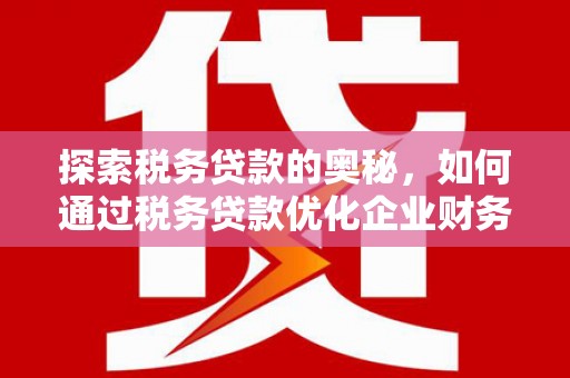 阜城探索税务贷款的奥秘，如何通过税务贷款优化企业财务
