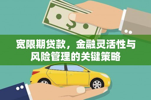 阜城宽限期贷款，金融灵活性与风险管理的关键策略