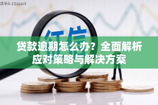 阜城贷款逾期怎么办？全面解析应对策略与解决方案