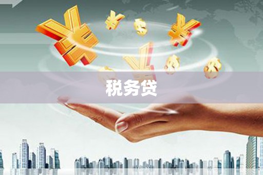阜城税务贷