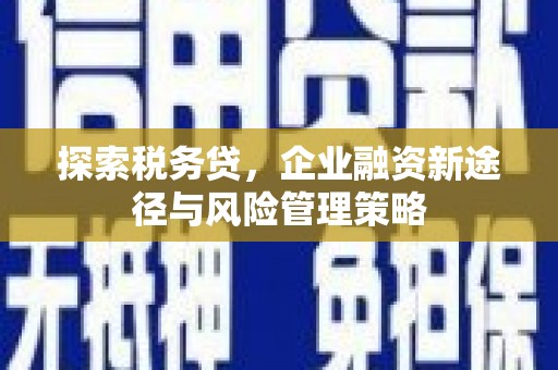阜城探索税务贷，企业融资新途径与风险管理策略