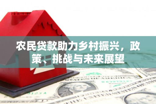 阜城农民贷款助力乡村振兴，政策、挑战与未来展望