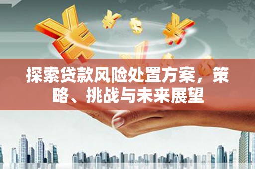 阜城探索贷款风险处置方案，策略、挑战与未来展望