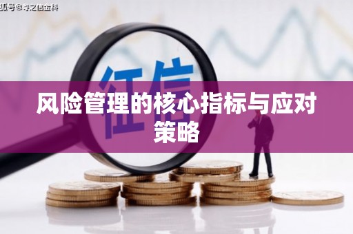 阜城风险管理的核心指标与应对策略