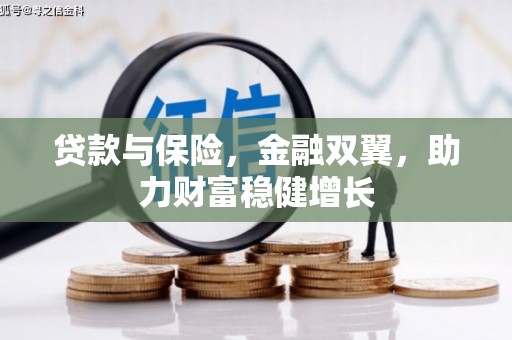 阜城贷款与保险，金融双翼，助力财富稳健增长
