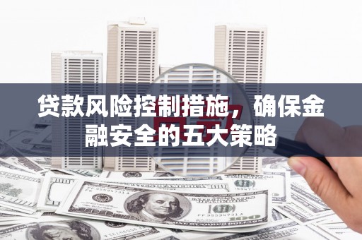 阜城贷款风险控制措施，确保金融安全的五大策略