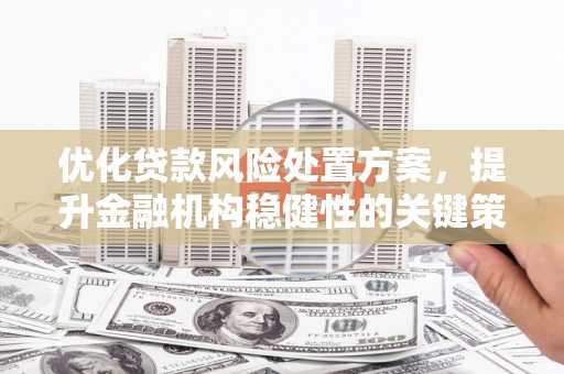 阜城优化贷款风险处置方案，提升金融机构稳健性的关键策略