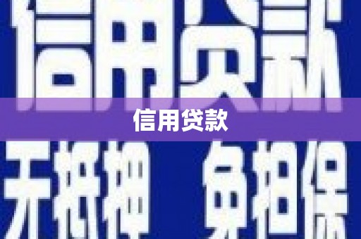 阜城信用贷款