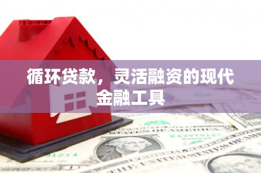 阜城循环贷款，灵活融资的现代金融工具