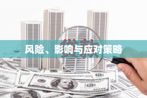 阜城风险、影响与应对策略
