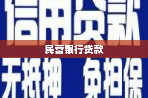 阜城民营银行贷款