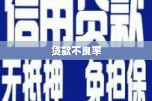 阜城贷款不良率
