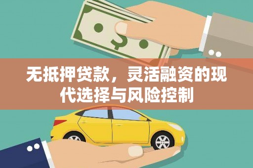 阜城无抵押贷款，灵活融资的现代选择与风险控制