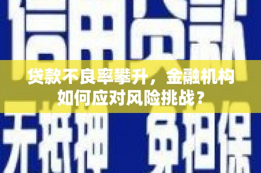 阜城贷款不良率攀升，金融机构如何应对风险挑战？
