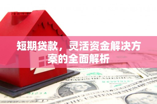 阜城短期贷款，灵活资金解决方案的全面解析