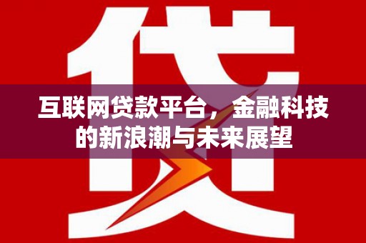 阜城互联网贷款平台，金融科技的新浪潮与未来展望