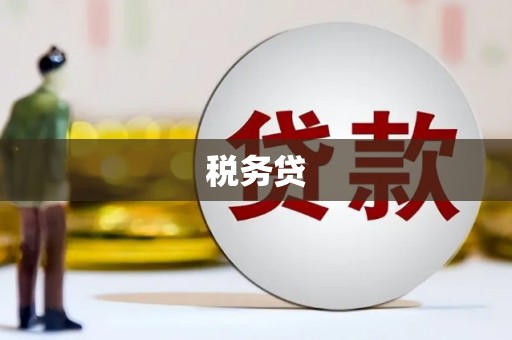 阜城税务贷