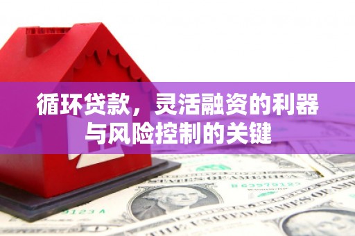 阜城循环贷款，灵活融资的利器与风险控制的关键