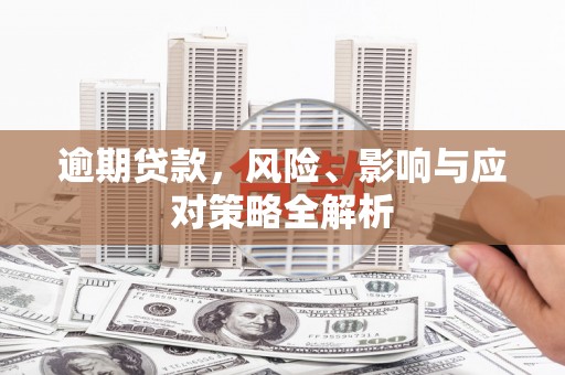 阜城逾期贷款，风险、影响与应对策略全解析