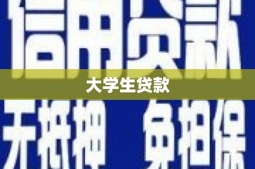 阜城大学生贷款