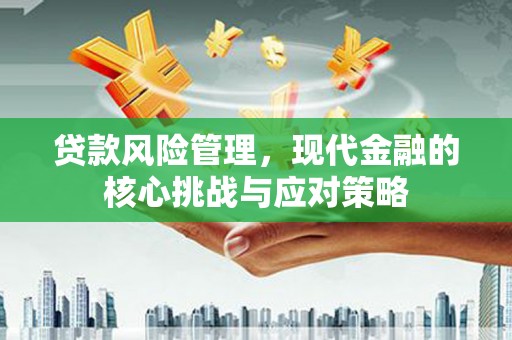 阜城贷款风险管理，现代金融的核心挑战与应对策略