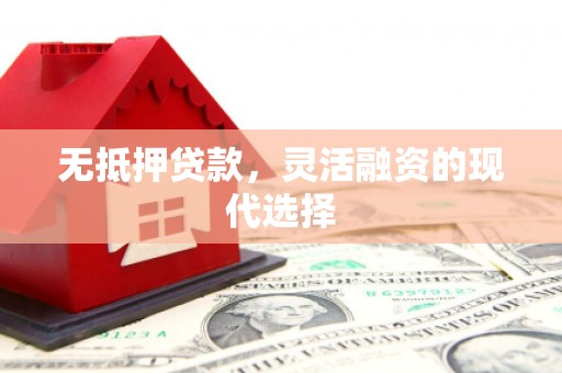 阜城无抵押贷款，灵活融资的现代选择