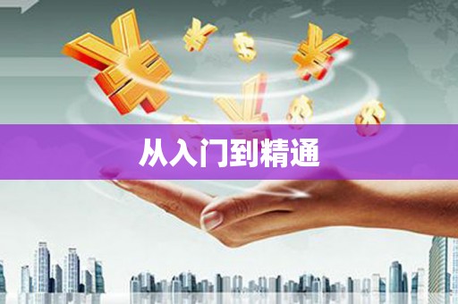 阜城从入门到精通