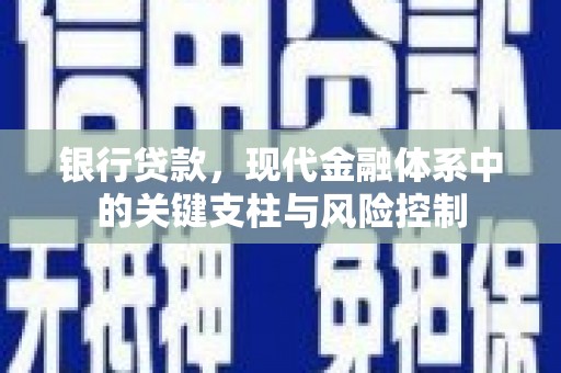 阜城银行贷款，现代金融体系中的关键支柱与风险控制