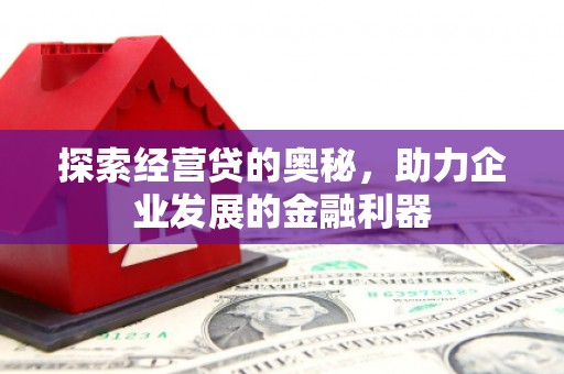 阜城探索经营贷的奥秘，助力企业发展的金融利器