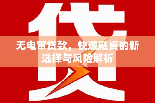 阜城无电审贷款，快速融资的新选择与风险解析