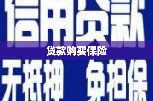 阜城贷款购买保险