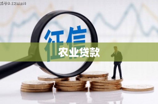 阜城农业贷款