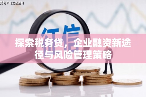 阜城探索税务贷，企业融资新途径与风险管理策略