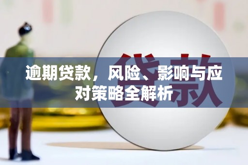 阜城逾期贷款，风险、影响与应对策略全解析
