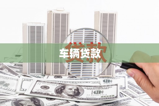 阜城车辆贷款