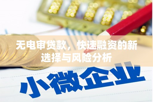 阜城无电审贷款，快速融资的新选择与风险分析