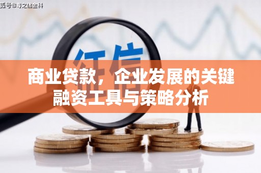 阜城商业贷款，企业发展的关键融资工具与策略分析