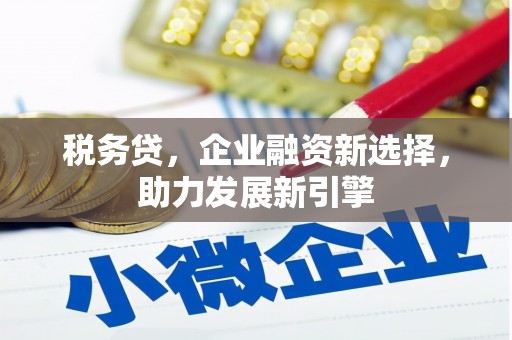 阜城税务贷，企业融资新选择，助力发展新引擎